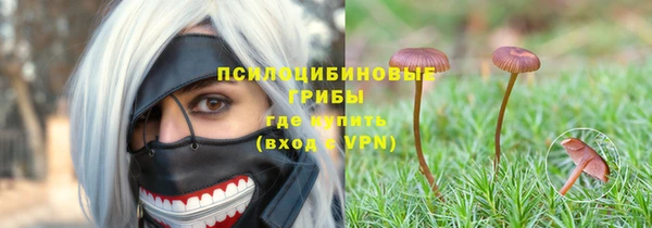 ECSTASY Остров