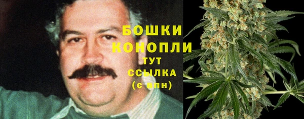 скорость Пересвет